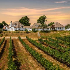 Chateau Blanc Vineyard Estate